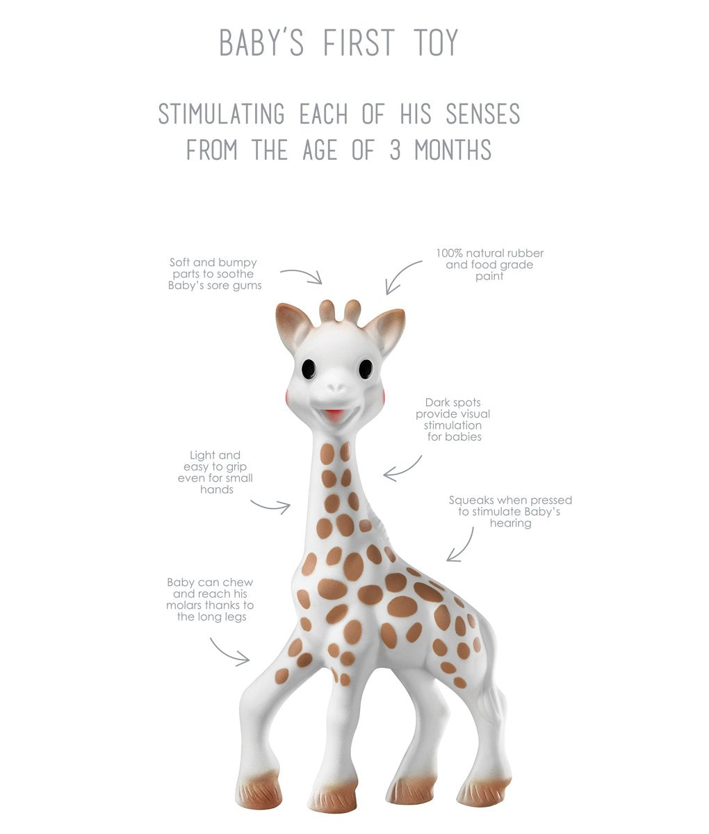 Sophie La Girafe - Giraffe