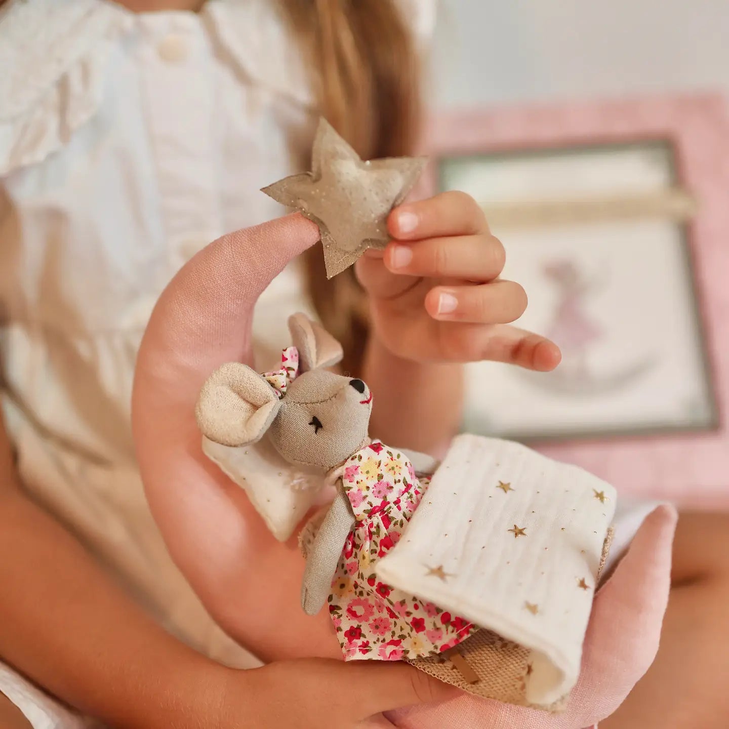 Levlovs Mouse on the Moon