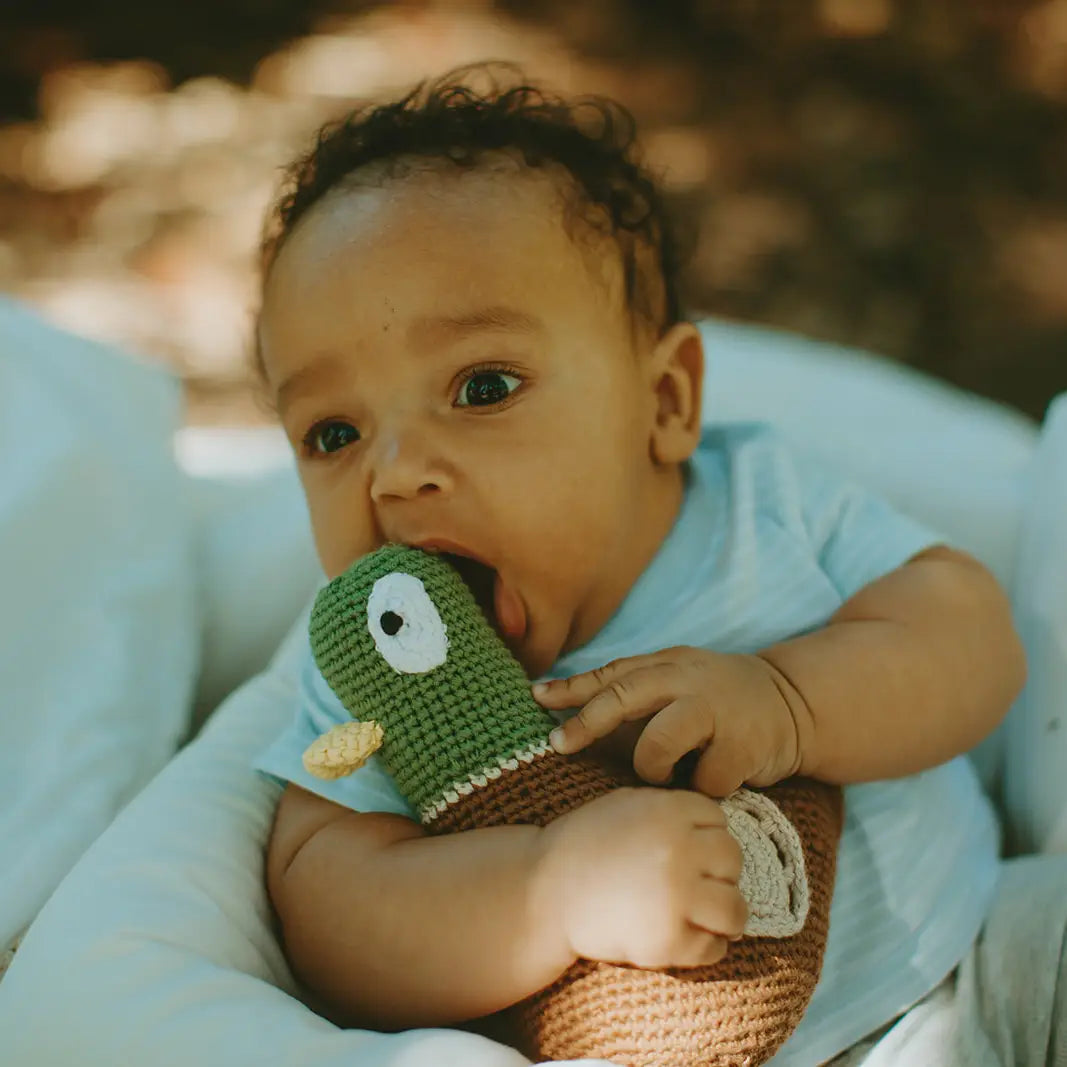 Playful Mallard Baby Plush Toy