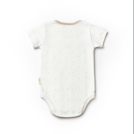 Teddy Ecru Short Sleeve Organic Cotton