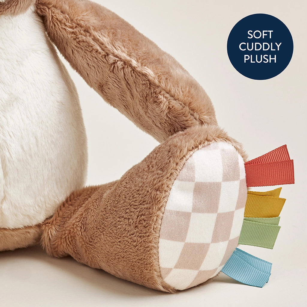 Baby sensory bear toy with embroidered details