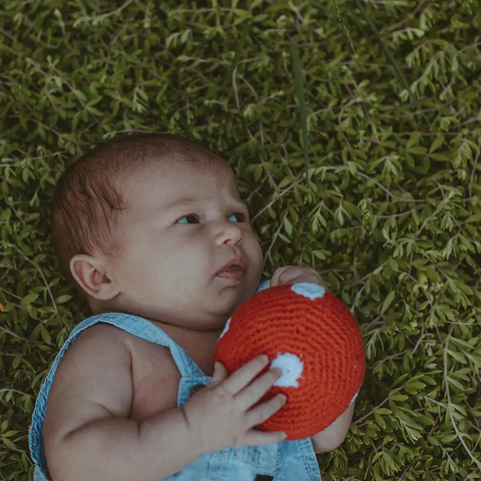 Pretend Play Food Rattle