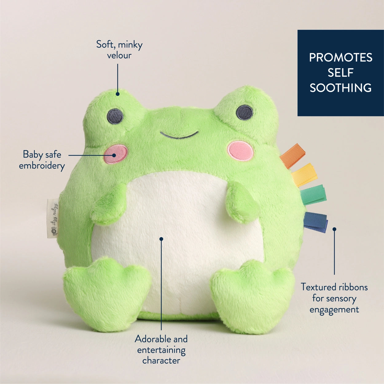 Soft frog sensory toy with embroidered face