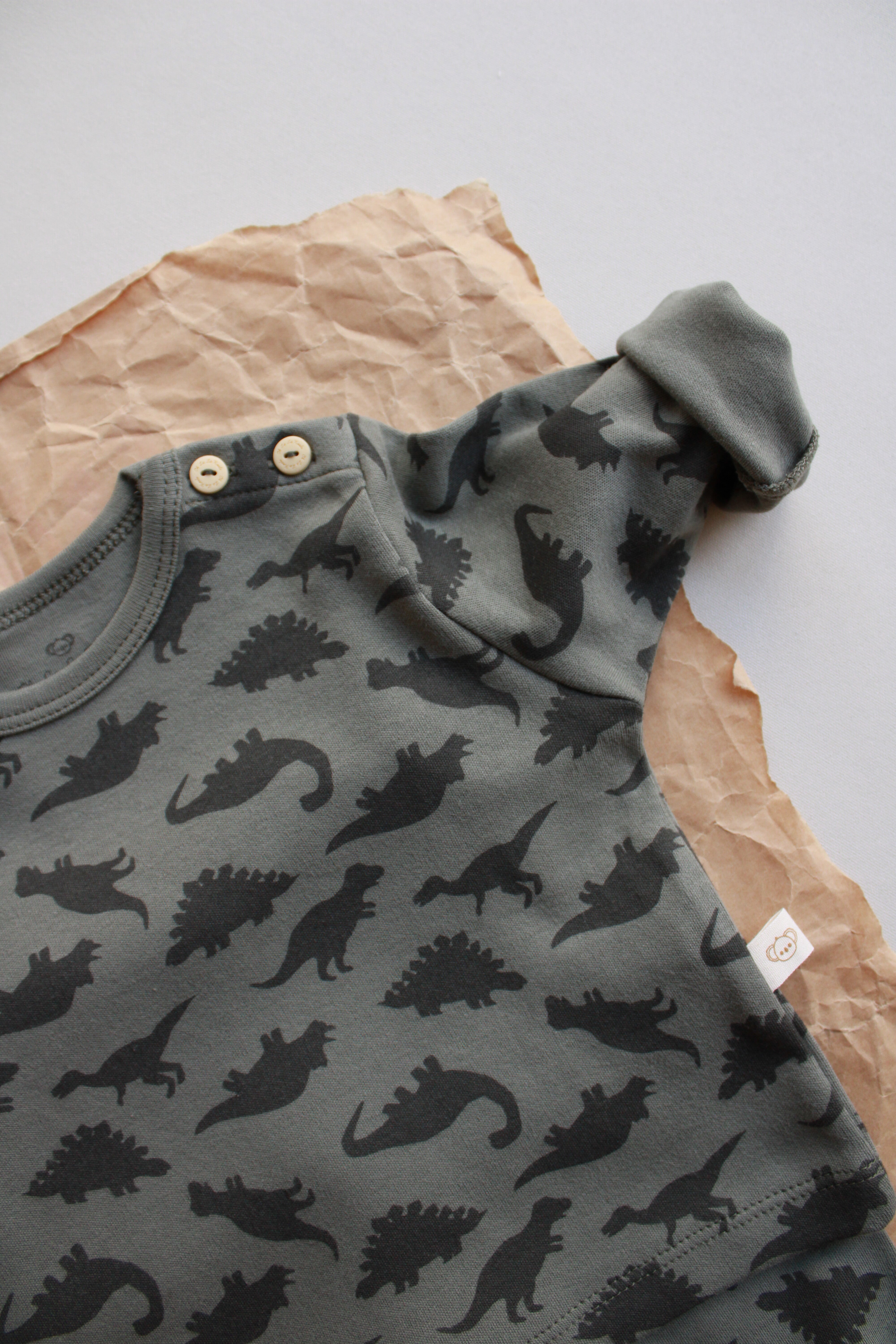 Soft dino print baby set in earthy gray tones, long sleeves, and cozy pants.