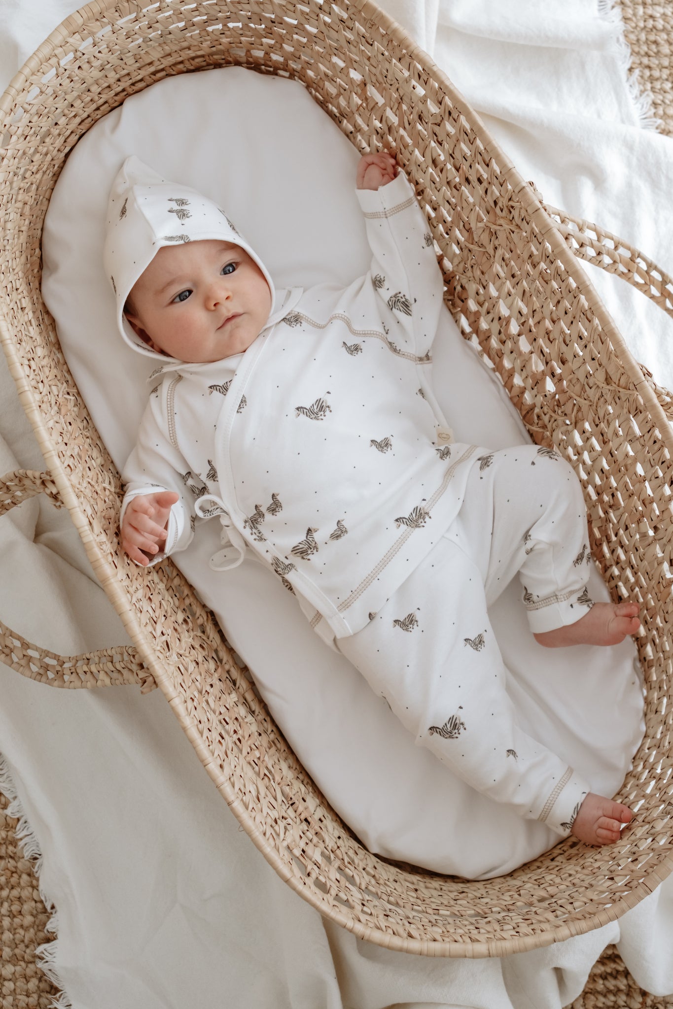 Baby safari zebra print 3 piece set